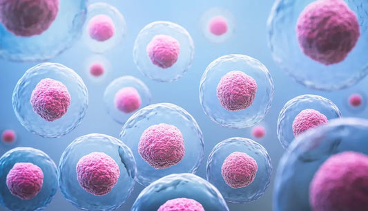 When Does Autophagy Start? The Science of Cellular Renewal