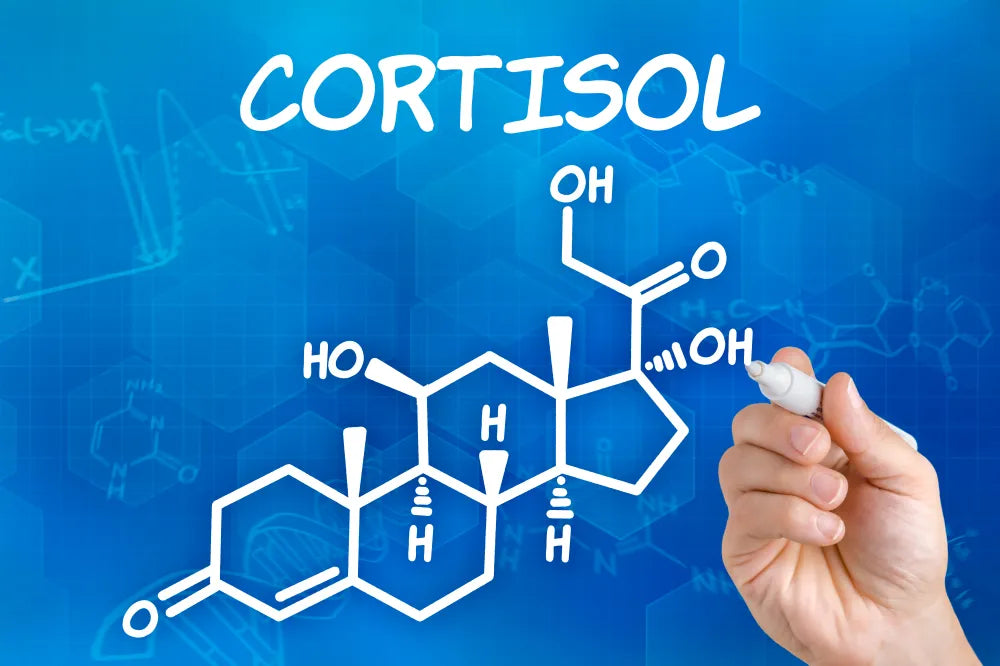 Cortisol — The Stress Hormone That Can Make or Break Your Health