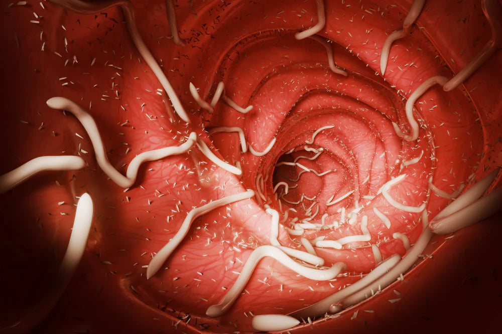How to Kill Parasites Naturally: 7 Strategies That Actually Work