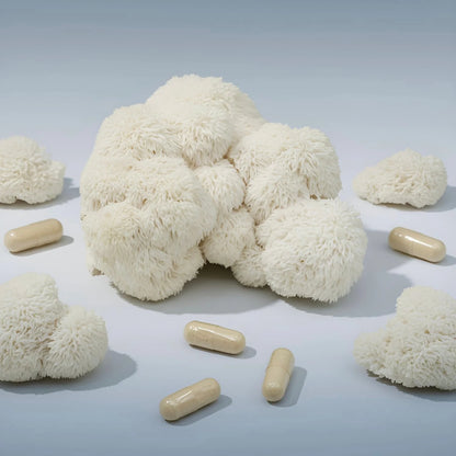 Icelandic Lion's Mane