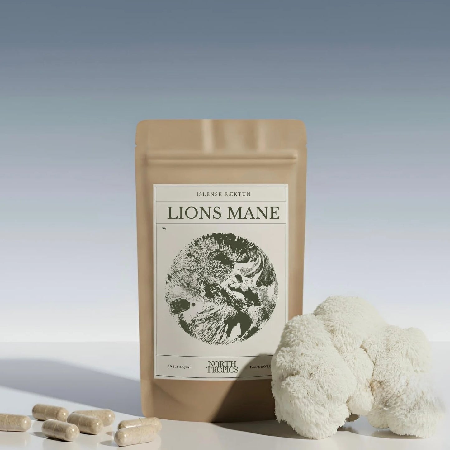 Icelandic Lion's Mane